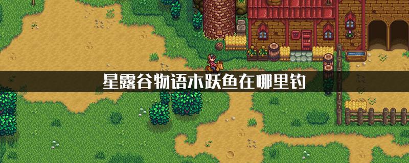 星露谷物語木躍魚什么時(shí)候釣