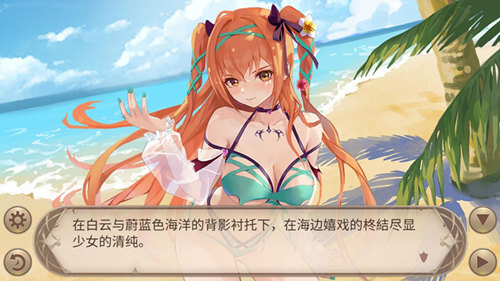 《姬魔戀戰(zhàn)紀(jì)》夏日偶像派對(duì)！