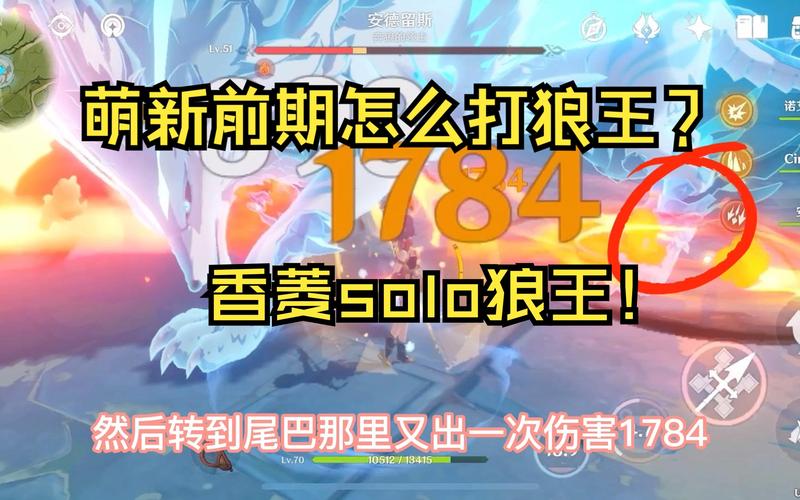 北風狼王免疫風元素傷害嗎
