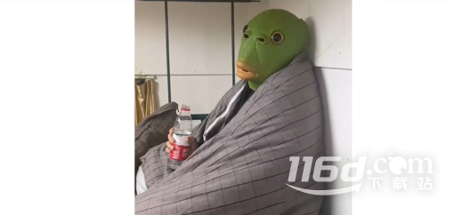 綠頭魚是什么梗一覽