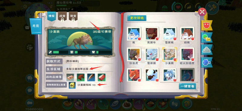 創(chuàng)造與魔法飼料捕捉坐騎寵物攻略