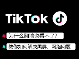 如何在線觀看tiktok手機(jī)網(wǎng)頁版