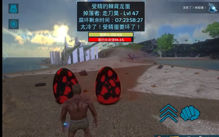 方舟生存進化手游蛋有什么用