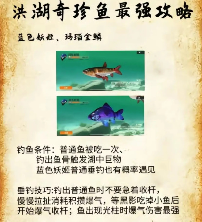 歡樂釣魚大師洪湖珍貴魚攻略