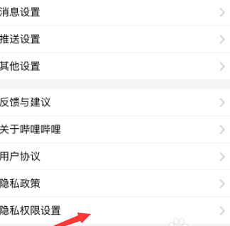 嗶哩嗶哩如何允許個(gè)性化展現(xiàn)廣告推薦 嗶哩嗶哩如何允許個(gè)性化展現(xiàn)廣告推薦