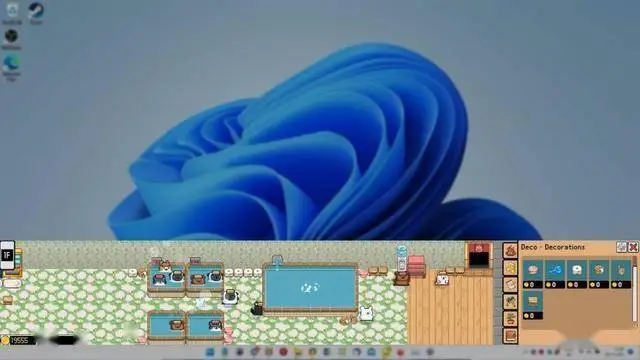 《動物溫泉》Steam頁面曝光！2025年，與萌寵共浴的休閑時光即將開啟！