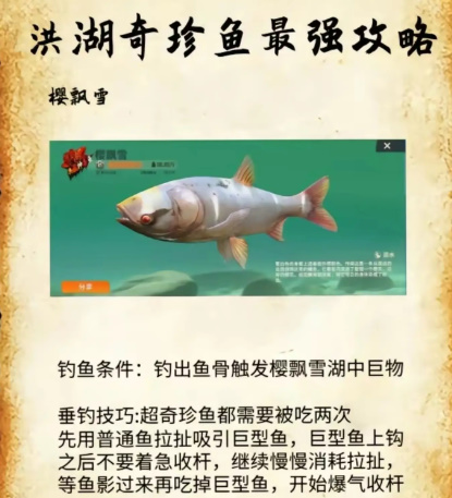 歡樂釣魚大師洪湖珍貴魚攻略