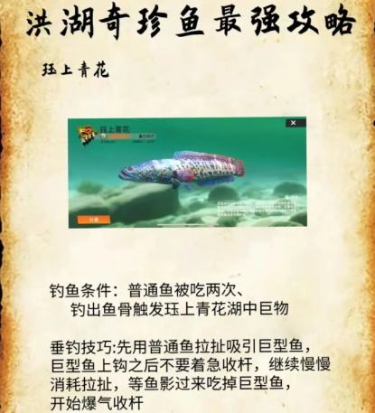歡樂釣魚大師洪湖珍貴魚攻略